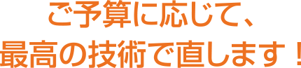 ご予算に応じて、最高の技術で直します!